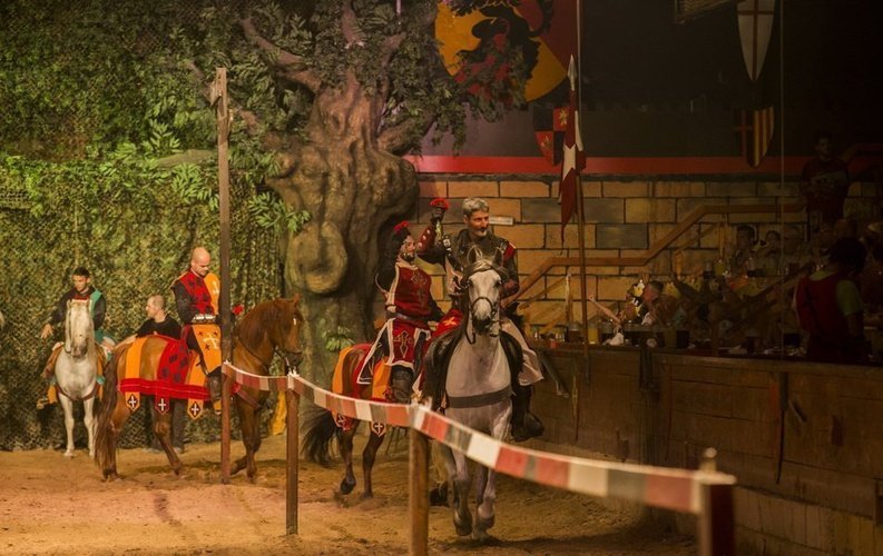 Ужин-шоу «средневековый вызов» Парк отдыха Magic Robin Hood Альфас-дель-Пи